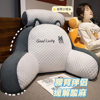 vieruodis 冰豆豆 SY 床头靠垫护腰靠枕 沙发汽车靠背抱枕