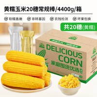 刘老杆 黄糯玉米 真空包装 1760g