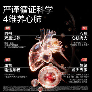 卫仕（NOURSE）心动魔方含辅酶Q10狗狗猫咪保护心脏养护心肺系统宠物冻干营养品 猫用【3盒】