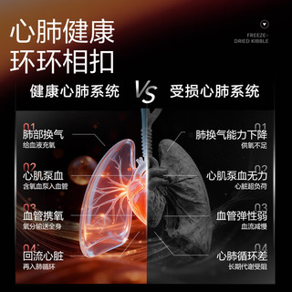 卫仕（NOURSE）心动魔方含辅酶Q10狗狗猫咪保护心脏养护心肺系统宠物冻干营养品 猫用【3盒】