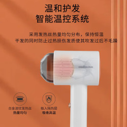 欧点 恒温大风量电吹风