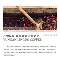 FLYING HIPPO云南林果庄园AA红酒日晒水洗卡蒂姆 手冲咖啡豆100g 低酸果香-红酒水洗 中浅烘焙 磨粉 100g