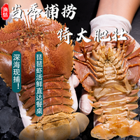 舟山鲜活琵琶虾鲜活特大虾姑活虾排九齿扇虾濑尿虾包鲜不包活