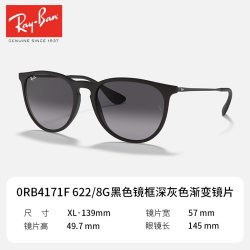 Ray-Ban RB4171F 猫眼太阳镜