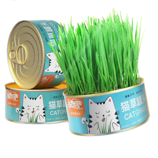 憨憨乐园 猫草盆栽罐头猫草