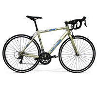 美利达（MERIDA）24款 SHADOW幻影2  16速 公路自行车  700*46CM(建议身高150-160CM)
