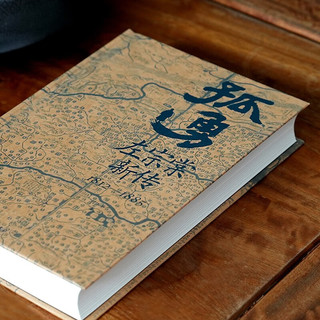 孤勇 左宗棠新传 中国晚清名臣左宗棠全传左宗棠与晚清国运