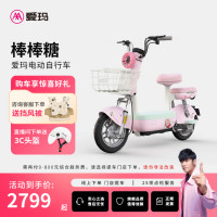 移动专享：爱玛 新新国标 棒棒糖电动自行车 48V22Ah