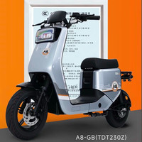 深远 S&Y SHENYUATECHNOLOGY新新国标深远A8-GB经典国标版新国标锂电池电动车外卖版 A8-GB新国标版