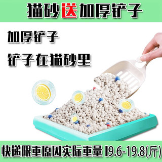 深洁 膨润土猫砂 10kg（20斤）+超大猫砂盆+铲子