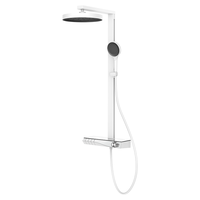 瑞尔特（R&T）淋浴花洒钢琴大按键按摩背喷大置物台花洒套装 K31H银白（恒温无背喷）