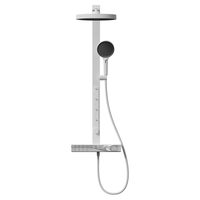 瑞尔特（R&T）淋浴花洒钢琴大按键按摩背喷大置物台花洒套装 K31银白（冷热无背喷）