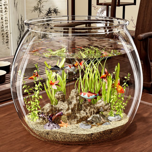 俏洁 透明生态鱼缸塑料加厚鱼缸家用小型桌面生态缸