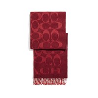 COACH蔻驰冬季围巾Scarf图案披肩丝巾奢侈女生