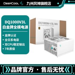 九州风神 金牌全模组1000W白色电源DQ1000MV3L稳定输出