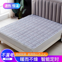 雪之韵 智能双控电热毯 1.8米x1.5米 花色随机 2025新款