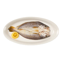 三都港 南美黄鱼鲞3条共750g 海捕非养殖三去免调味海鲜生鲜烧烤鱼类食材 南美黄鱼鲞4条共1.2kg