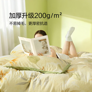 百丽丝三四件套A类牛奶绒四件套秋冬加厚升级保暖床上四件套可机洗 青叶逢秋 床单款 （被套150*210cm）