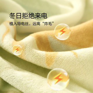 百丽丝三四件套A类牛奶绒四件套秋冬加厚升级保暖床上四件套可机洗 青叶逢秋 床单款 （被套150*210cm）