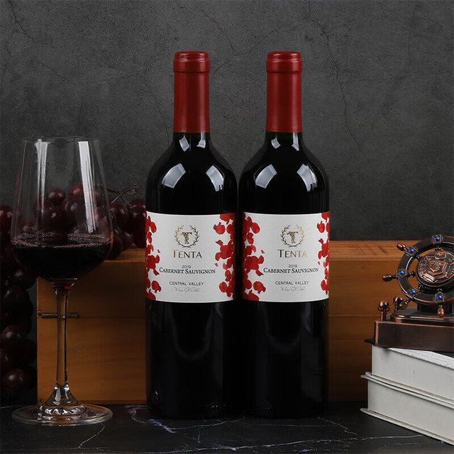 天帕 智利 赤霞珠 干红葡萄酒红酒  13.5度 精品单支