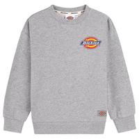 Dickies 儿童圆领卫衣春季童装中大童经典LOGO毛圈卫衣男女童纯棉休闲