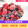 【每日莓果】花青素浆果水果酸奶碗新鲜速冻草莓冷冻蓝莓树莓果