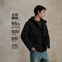 佐丹奴 男士羽绒服 01075724
