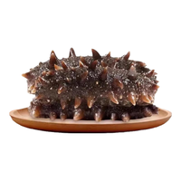 灯火岛即食海参 大连冷冻辽刺参鲜食海参 独立包装海鲜水产礼盒 8A即食海参2斤装（16-24只）