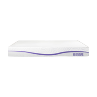 blbm 菠萝斑马 海浪WAVE Air 弹簧床垫 135*200*22cm