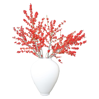 京东鲜花 5枝A级50-60cm年宵花用花春节用花基地源头直发