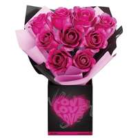 JAKI 佳奇 花卉植物系列 JK-DK251 弗洛伊德玫瑰九支装