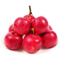 鲜姿东北乙女红小苹果1-4斤新鲜水果海棠果红沙果特产现摘现发鸡心果 4斤特选装