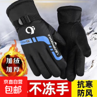 1 品牌系列型号冬季男女加绒加厚电动车摩托车骑行防风寒防水防冻保暖手套户外滑雪保暖手套