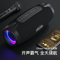 雷登 蓝牙音箱大音量高音质重低音炮家用户外便携式K歌音响