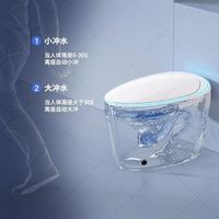 TOZ蛋型家用智能马桶双水路活水即热防溅泡沫静音虹吸无水压限制