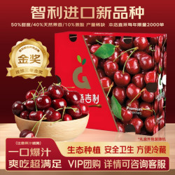 美月鲜 金智利车厘子精选礼盒装大樱桃SF直达VIP 5斤(净重)  巨无霸 3J 单果10-12g