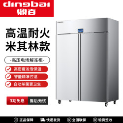 鼎百 解冻柜商用高压静电融化柜冷藏冷冻猪羊牛肉抑菌排酸柜缓化柜