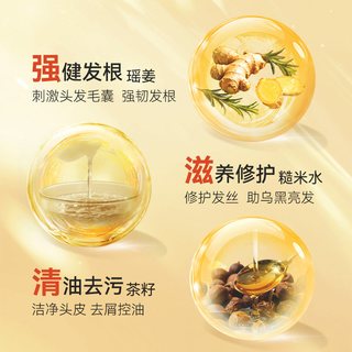 老瑤薑 生姜酵素精华洗发水