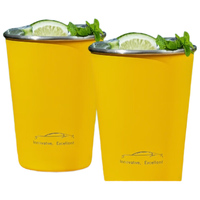 京东京造不锈钢水杯304直饮杯汽车专属配色闪电黄两个装