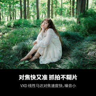 腾龙 A075S 25-200mm F/2.8-5.6 Di III VXD G2 大变焦微单镜头 索尼全幅E口