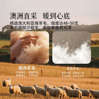 百丽丝 A类澳洲羊毛被 200cm×230cm 冬厚被