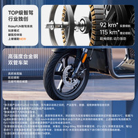 九号 FZ3 110 电动自行车