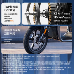 九号 FZ3 110 电动自行车