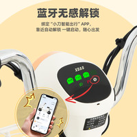 小刀 新国标智荟版电动自行车