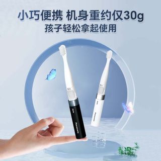 Panasonic DS42 电动牙刷