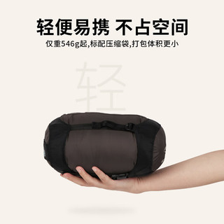 SEA TO SUMMIT户外成人露营羽绒睡袋信封式防寒睡袋可当羽绒被轻量 Traveller7℃-标准款 【7~11℃】重546g-鹅绒睡袋