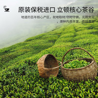 立顿（Lipton） 黄牌红茶（无独立茶包外包装版）波兰 纸箱装  100包*盒