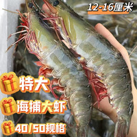 江七公 厄瓜多尔白虾 三斤装大号白虾【12-16厘米】