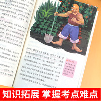 快乐读书吧名师精析导读 秘密花园 小学语文四年级上 同步阅读有声伴读彩绘插图版