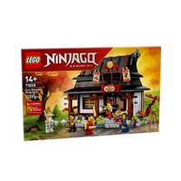 LEGO乐高忍者71858四个武器铁匠 15 周年玩具收藏